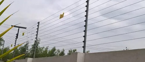 fencing